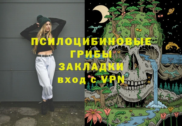 дмт Козельск