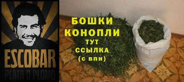 шишки Карпинск