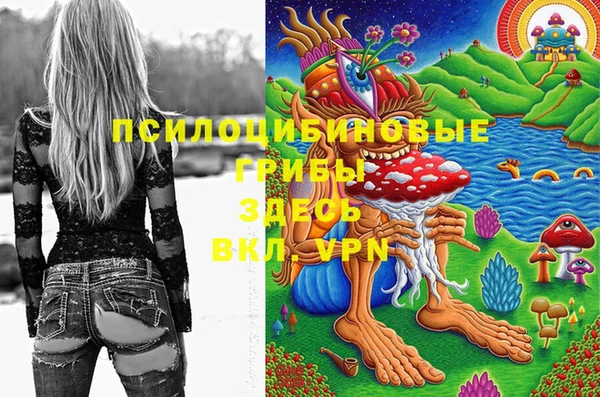 а пвп мука Карталы