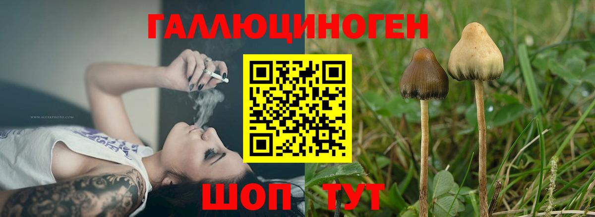 Псилоцибиновые грибы мицелий  Вход с VPN  Кубинка 