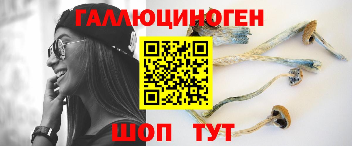 Галлюциногенные грибы GOLDEN TEACHER Кубинка